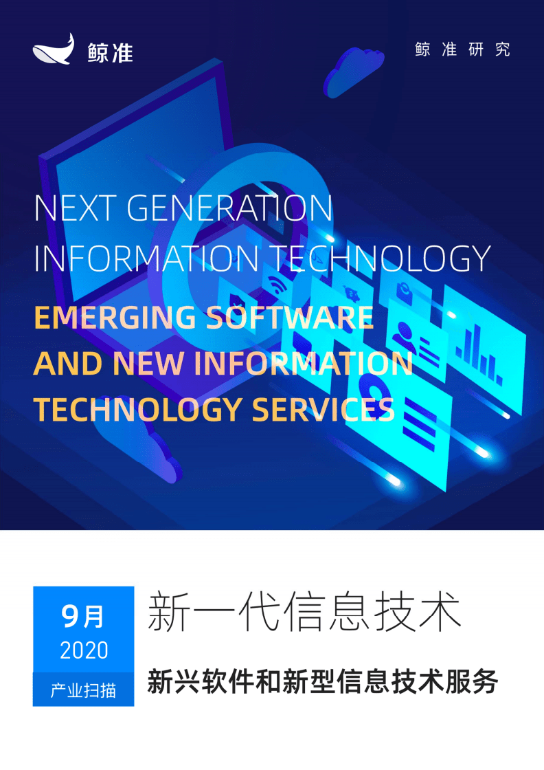 新兴软件和新型信息技术服务.pdf